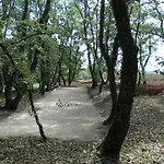 Fragola - House With Large Garden *