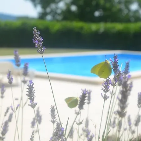 Vila Fragola - House With Large Garden Tinjan